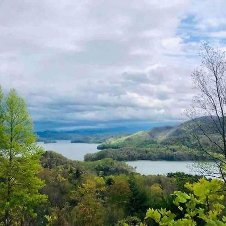 Cabin At The Cove At Watauga Lake Butler Extérieur photo