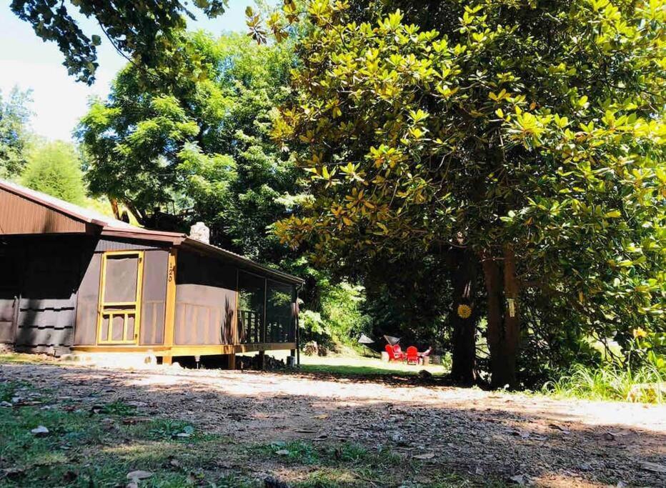 Cabin At The Cove At Watauga Lake Butler Extérieur photo