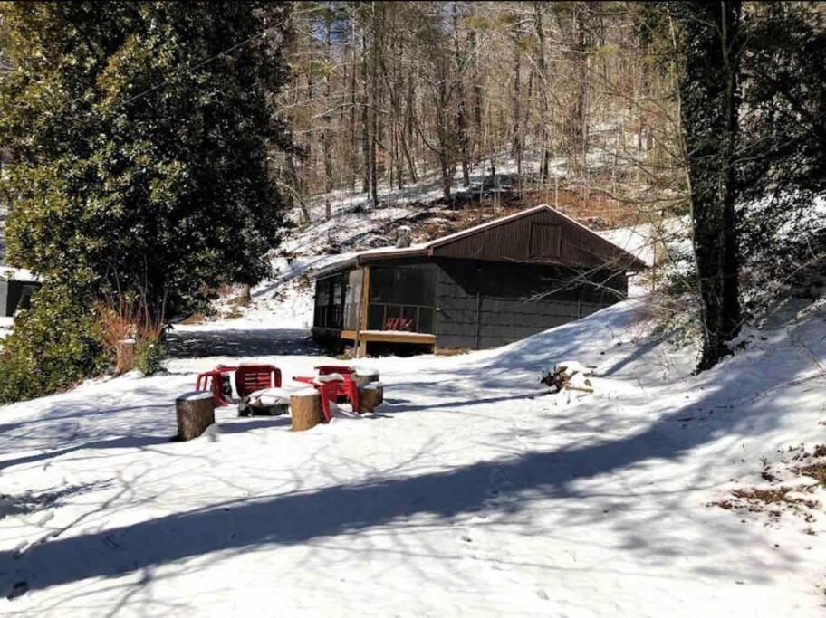 Cabin At The Cove At Watauga Lake Butler Extérieur photo